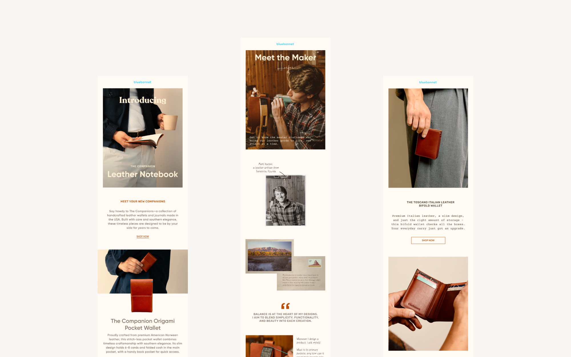 Newsletter design by Ethiser Studio